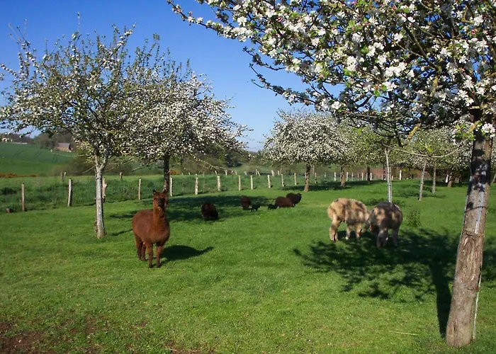 3 Bed - Sleeps 5 - Garden - Parking - Wifi