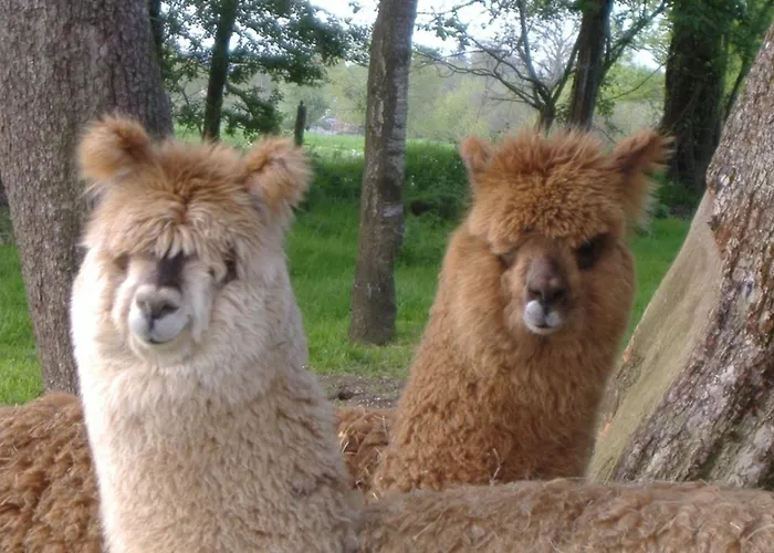 3 Bed - Sleeps 5 - Garden - Parking - Wifi * Saint-Siméon